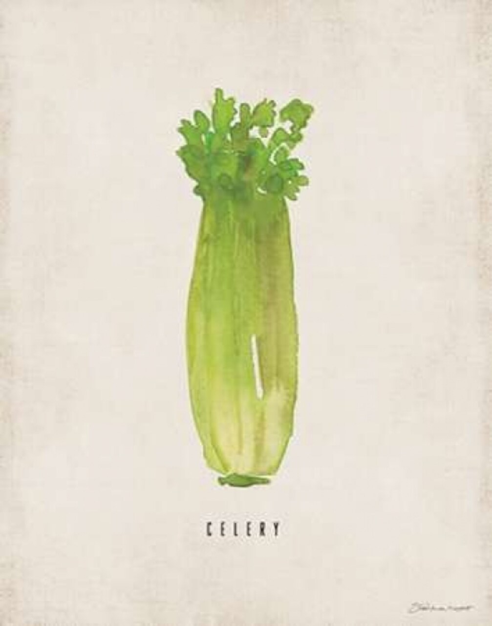 Celery Poster Print by Stephanie Marrott - Item # VARPDXSM15512
